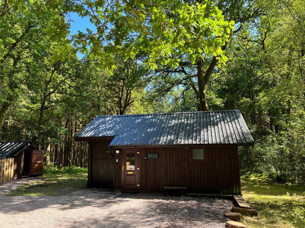 Loch Aweside Forest Cabins Dalavich Ngoại thất bức ảnh